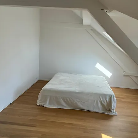 Comfortable Charming House Near The River Basel
