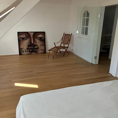 Comfortable Charming House Near The River Apartment