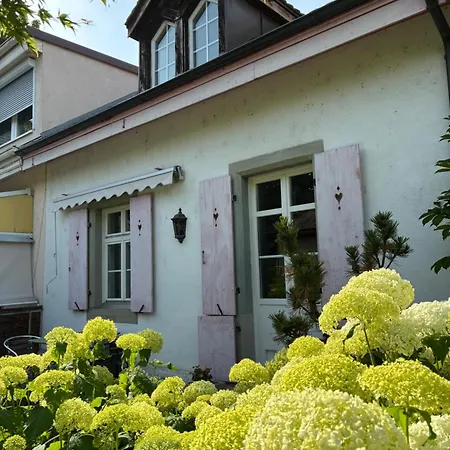 Comfortable Charming House Near The River